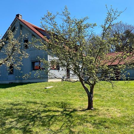 Appartamento Waldhaus Am Lilienstein Königstein Esterno foto