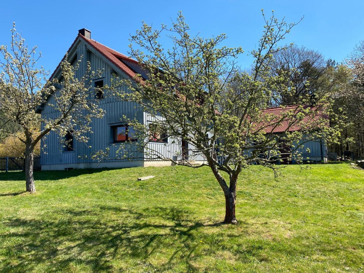 Appartamento Waldhaus Am Lilienstein Königstein Esterno foto